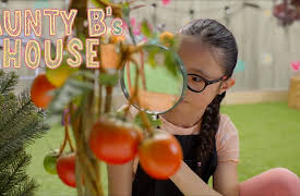 Aunty B's House: Who Broke it?