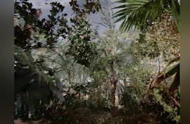 Land of the Giants Season 1: Manhunt