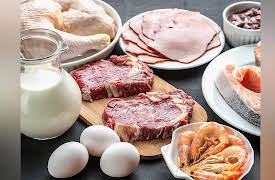 Changing Body Composition through Diet and Exercise: Protein’s Critical Role in Body Composition