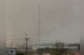 Serial Killer Earth Season 1: Texas Twister Terror