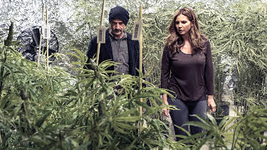 20:00: Chicago P.D. (S3 E17) (S3) | Viasat Series | 7/28 2026