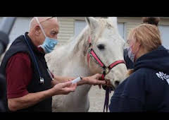 El increíble doctor Pol: Echa el freno