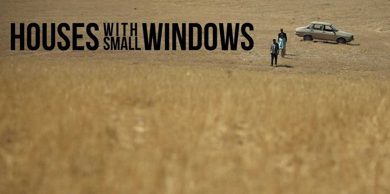 Houses with Small Windows (2013)