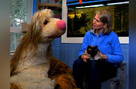 It's a Big Big World: On the Road, Season 1: At Arf - The Animal Rescue Fund