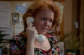 Blue Heelers: Reunion