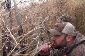 The Fowl Life with Chad Belding: Washington Mallards