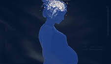 Baby Brain: What's Really Going On?