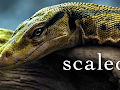 Scaled