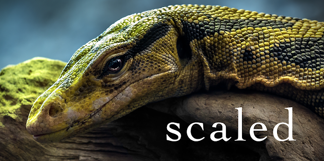 Scaled