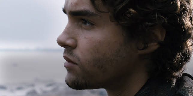 Henry of Navarre (2010)