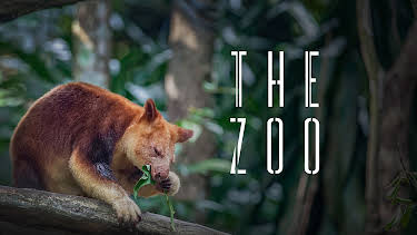 06:50: The Zoo (S5 E1) (S5) | Animal Planet | 4/24 2026