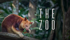 The Zoo (S5 E1)