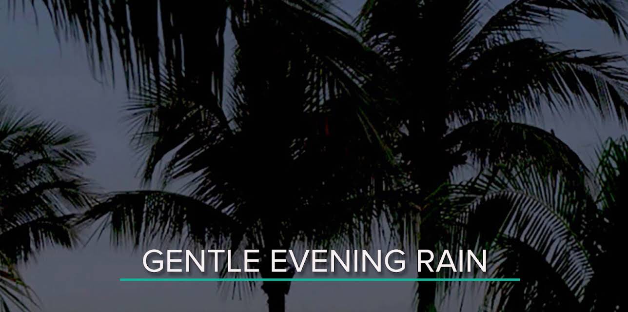 Gentle evening rain