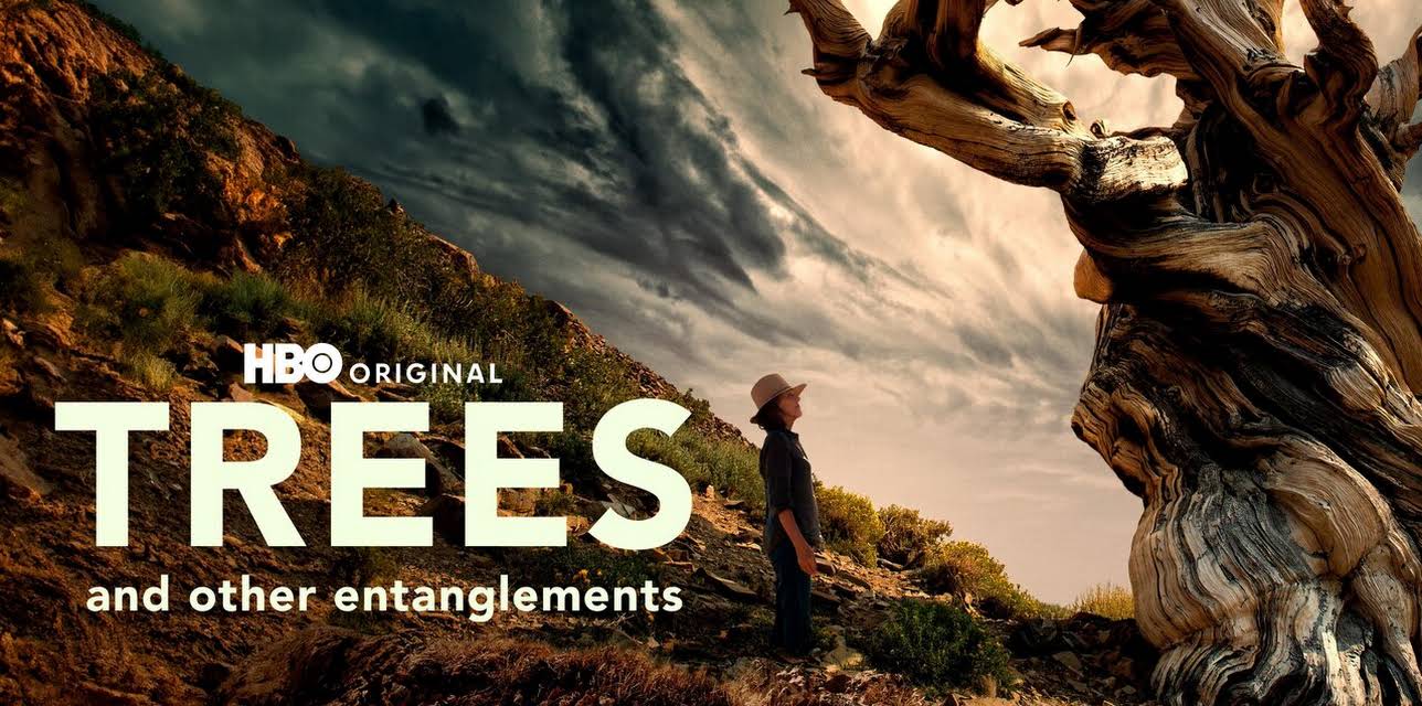 Trees And Other Entanglements (2022)