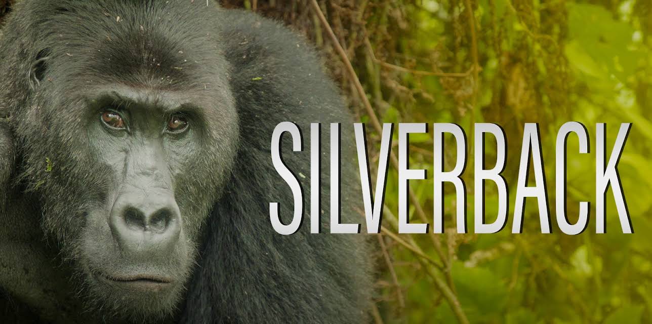 Silverback (2024)