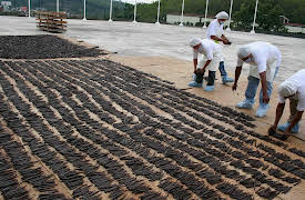 How Do They Do It?: Vanilla, Anchors, Lighters