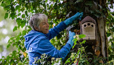 Schnittgut. Alles aus dem Garten