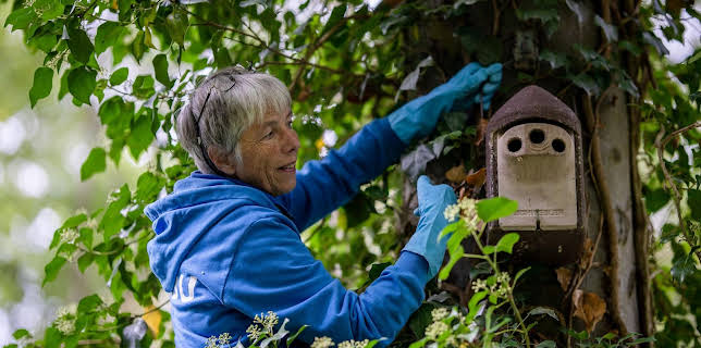 10:00: Schnittgut. Alles aus dem Garten | ARD Alpha | 2/25 2026