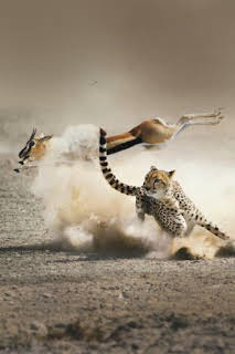 16:40: La caza: Llanuras | La Otra | 3/27 2026