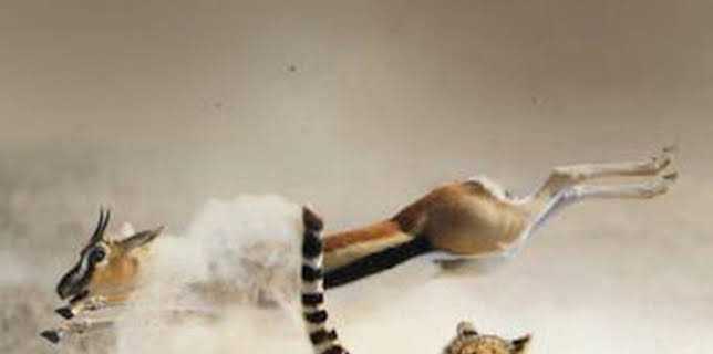 15:45: La caza: Llanuras | La Otra | 1/28 2026