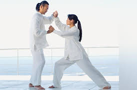 Essentials of Tai Chi and Qigong: The Second Pillar - Push Hands for Two