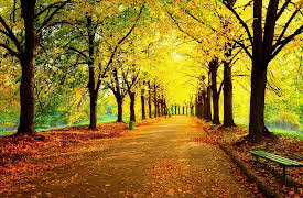 Understanding the Universe: An Introduction to Astronomy, 2nd Edition: The Reason for the Seasons