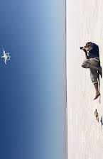 Everardo Gout as Director