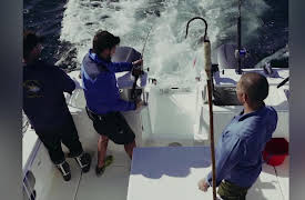 How to Adventure: Catch of the Day