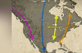 The Scientific Wonder of Birds: Orientation, Navigation, Migration: Bird Road Trips