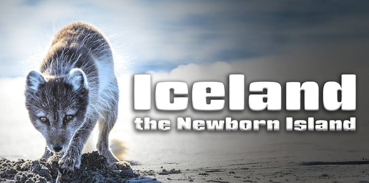 Iceland, the Newborn Island (2018)