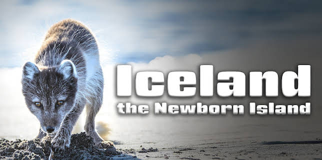 Iceland, the Newborn Island (2018)