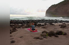 Gaiam: Rodney Yee A.M./P.M. Yoga for Beginners Season 1: A.M. Energize With Rodney Yee