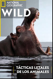 23:20: Tácticas letales de los animales | Nat Geo Wild | 4/1 2026