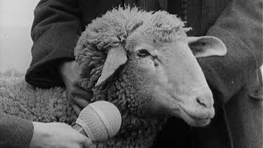 12:55: alpha-retro: Schafkopfrennen (1963) | ARD Alpha | 8/11 2026