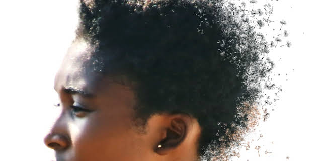 Like Cotton Twines (2016)