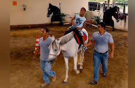 Petchannel Brasil: Horse Whisperer - Part 2