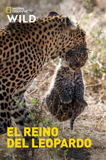 20:50: El reino del leopardo | National Geographic | 2/13 2026