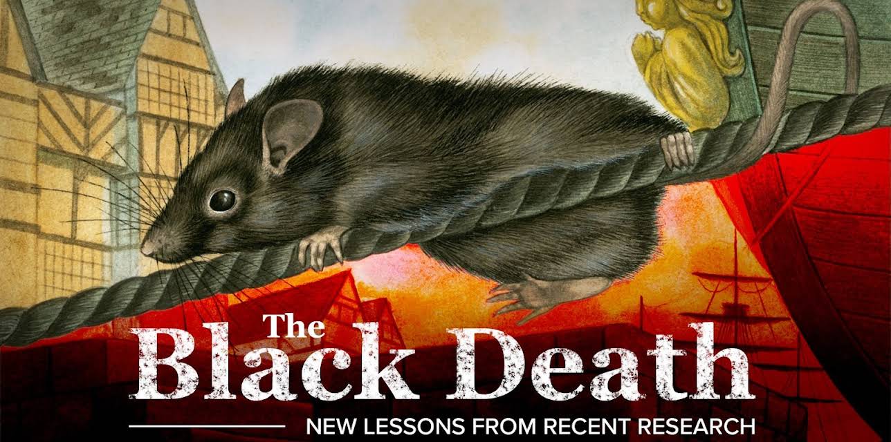 The Black Death: New Lessons from Recent Research