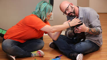 17:00: My Cat From Hell (S8 E2) (S8) | Animal Planet | 1/30 2026