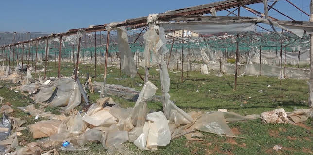 04:15: Die Agrar-Mafia - Italiens Bauern unter Druck | ZDFinfo | 11/29 2025