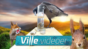 12:20: Ville videoer: Drama i dypet | NRK 1 | 7/5 2026