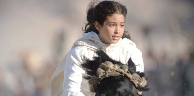 The Young Black Stallion (2003)