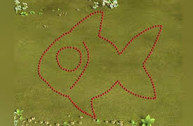 Boom & Reds: Tropical Fish