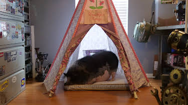 11:20: The Vet Life (S3 E13) (S3) | Animal Planet | 12/29 2025