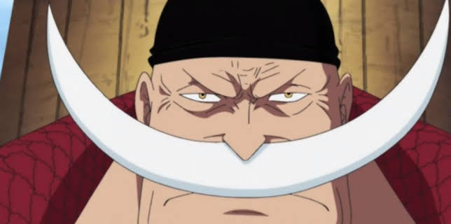 17:10: One Piece | ProSieben Maxx | 2/2 2026