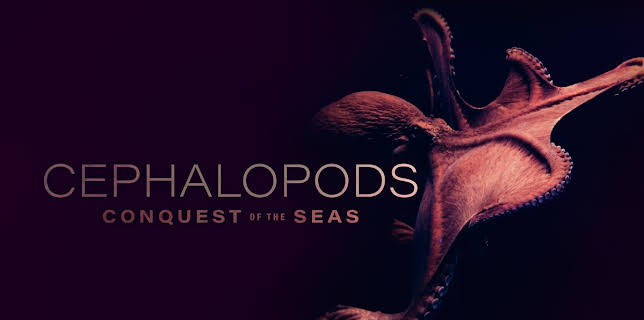 Cephalopods Conquest Of The Seas (2023)