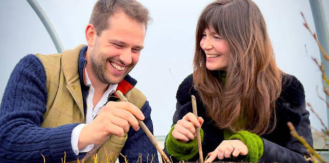 4:30 PM: Antiques Road Trip (S31) | BBC One | 11/25 2025