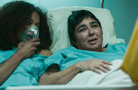 Vis a vis: Cosiendo a Campanilla