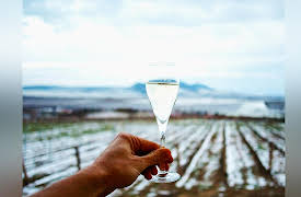 The Everyday Guide to Wine: Other U.S. Regions, Mexico, and Canada