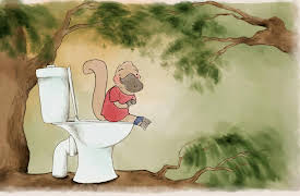 Teeny Tiny Stevies: On The Toilet